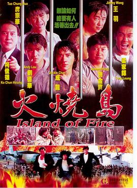 火烧岛 (1990) (3.15 GB) {tmdb-18767}-光鸭云盘资源交流社区