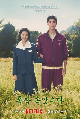 苦尽柑来遇见你[全16集][简繁英字幕].2025.2160p.NF.WEB-DL.DDP5.1.Atmos.HDR.H.265-ColorTV-光鸭云盘资源交流社区