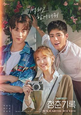 青春纪录[全16集][国韩多音轨+简繁英字幕].Record.of.Youth.S01.2020.1080p.NF.WEB-DL.AAC2.0.H264-ColorTV-光鸭云盘资源交流社区