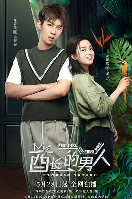 酋长的男人.Mr.Fox.and.Miss.Rose.2020.EP01-30.HD1080P.X264.AAC.Mandarin.CHS.BDE4-光鸭云盘资源交流社区