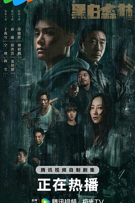 黑白森林[全28集][国语配音+中文字幕].Black.and.White.Forest.S01.2024.2160p.WEB-DL.H265.DDP2.0-ZeroTV-光鸭云盘资源交流社区