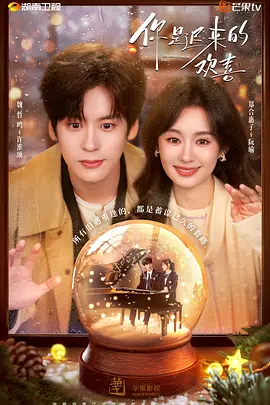 你是迟来的欢喜You.Are.My.Fateful.Love.2026.EP01-30.HD1080P.X264.AAC.Mandarin.CHS.XLYS-光鸭云盘资源交流社区